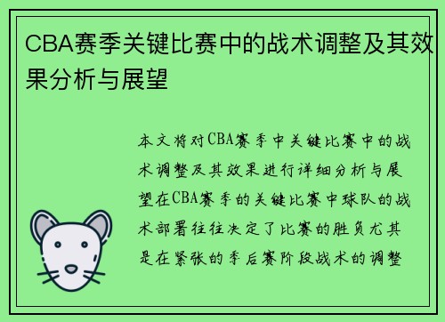 CBA赛季关键比赛中的战术调整及其效果分析与展望
